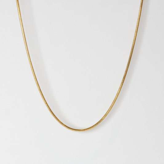 Buy Brazilian Snake Chain Gold in Pakistan