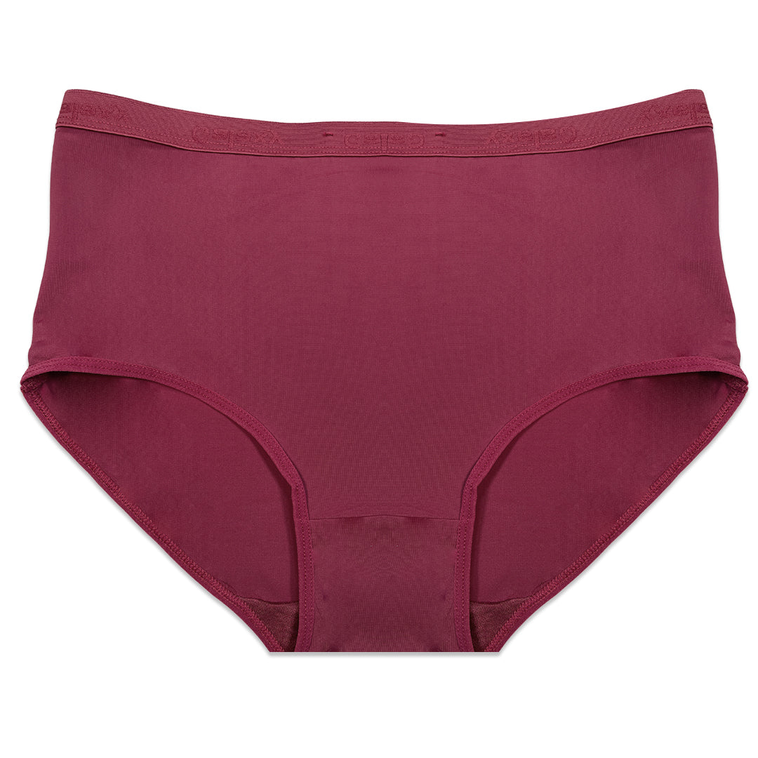 Buy Pack of 3 Briefs Panties - Comfort Cotton in Pakistan
