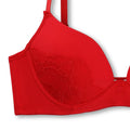 Buy Charming Red Embroidered Padded Bra and Panty Set in Pakistan
