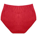 Buy Pack of 2 Briefs Panties - Comfy Cotton in Pakistan