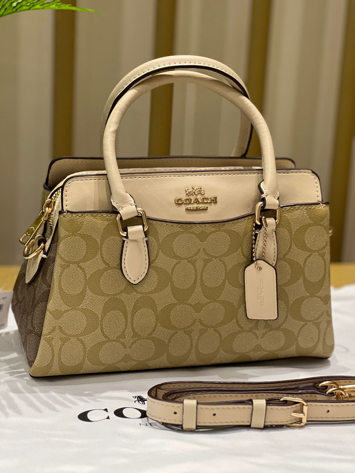 Buy Coach Mini Darcie Carryall in Signature Canvas Bag Small in Pakistan