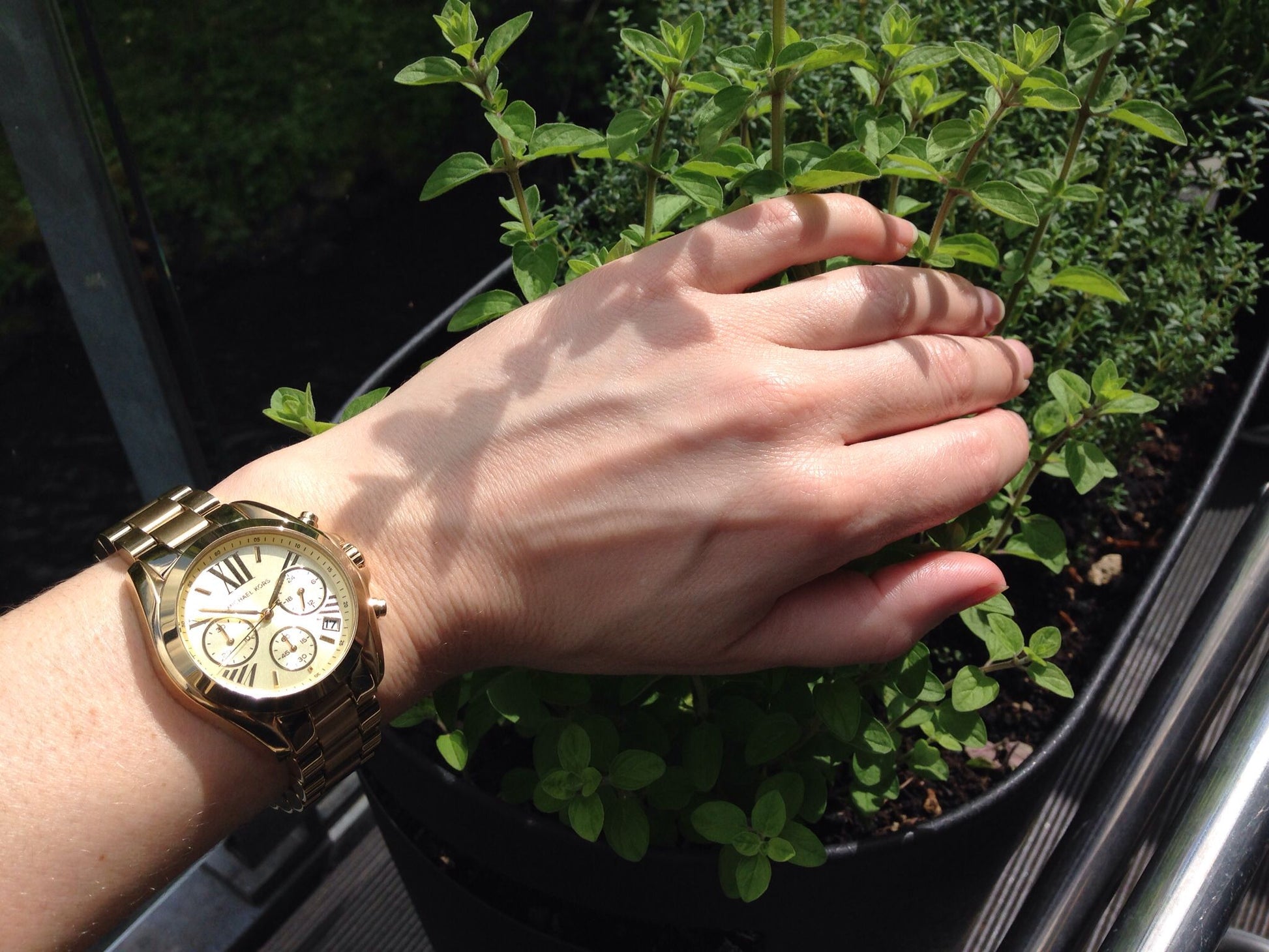 Buy Michael Kors Womens Quartz Stainless Steel Gold 35mm Watch - Mk5798 in Pakistan