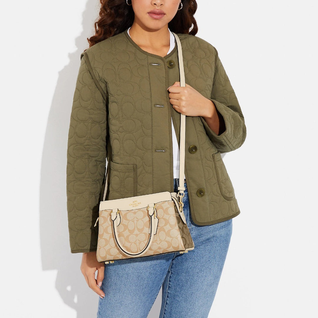 Buy Coach Mini Darcie Carryall in Signature Canvas Bag Small in Pakistan