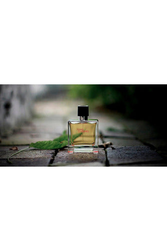 Buy Hermes Terre D Hermes Parfum - 75ml in Pakistan