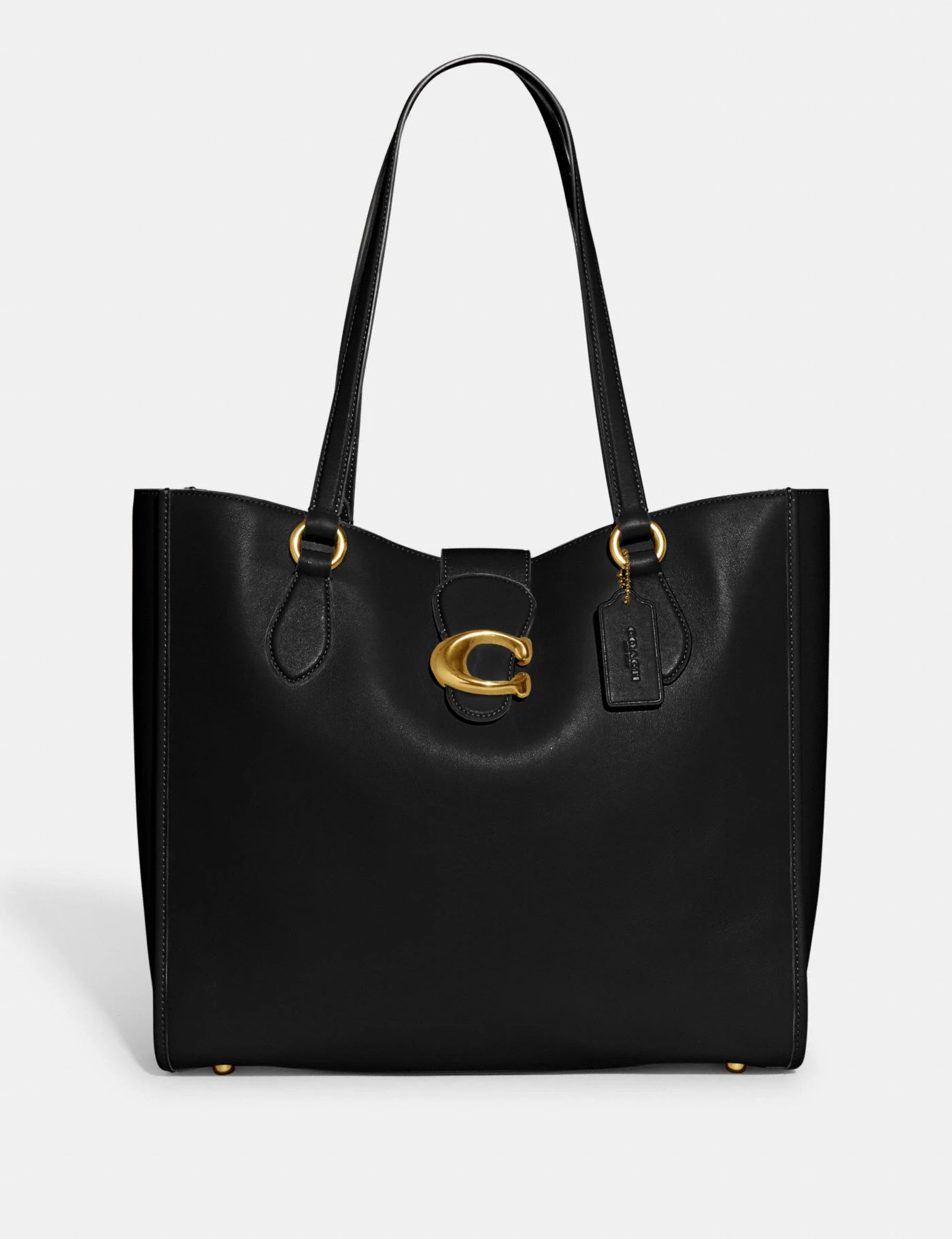 Buy Coach Theo Tote Bag Large in Pakistan