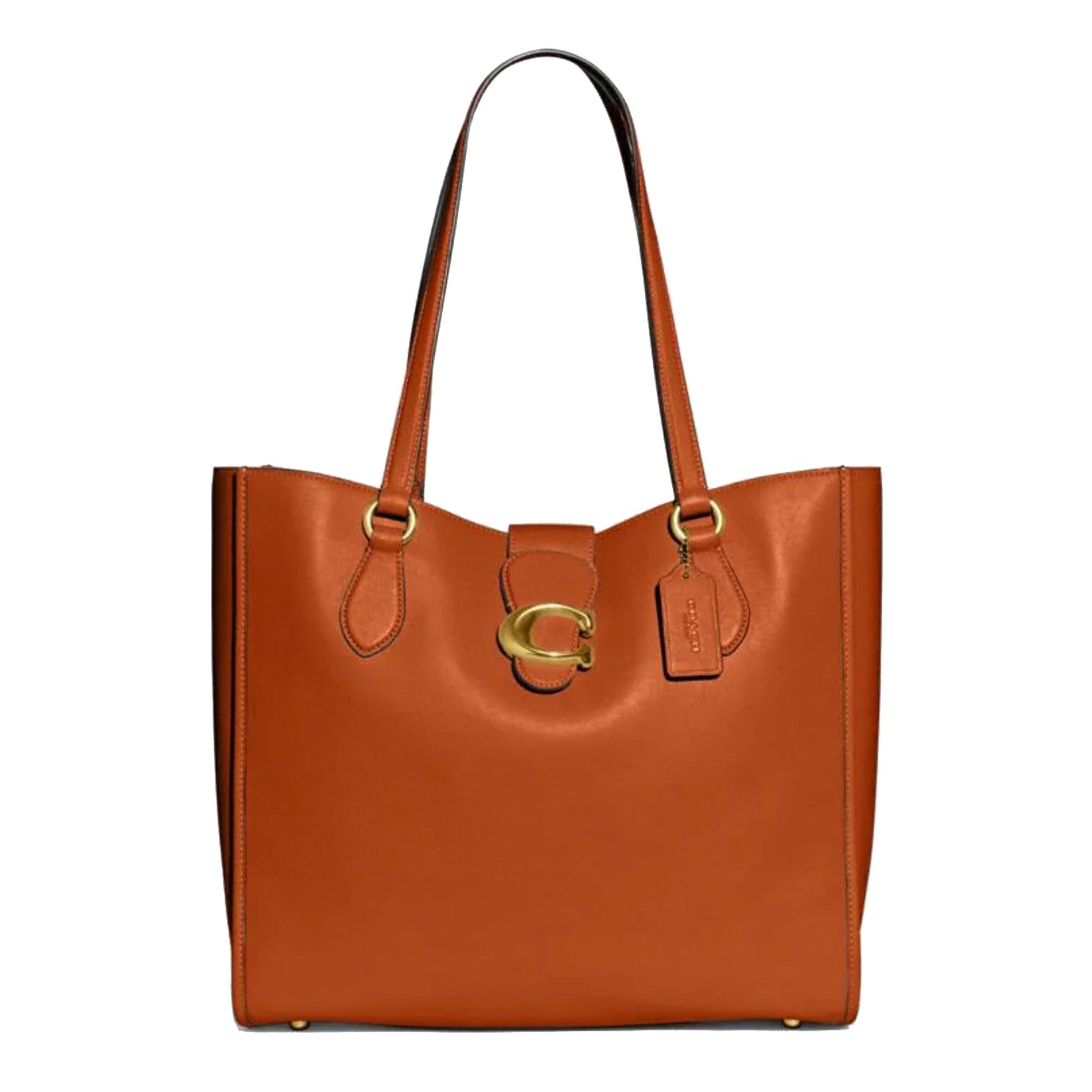 Buy Coach Theo Tote Bag Large - Canyon in Pakistan