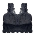 Buy Pack of 3 Bra - Lace Blush in Pakistan