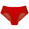 Buy Pack of 3 Briefs Panties - Lace Desire in Pakistan