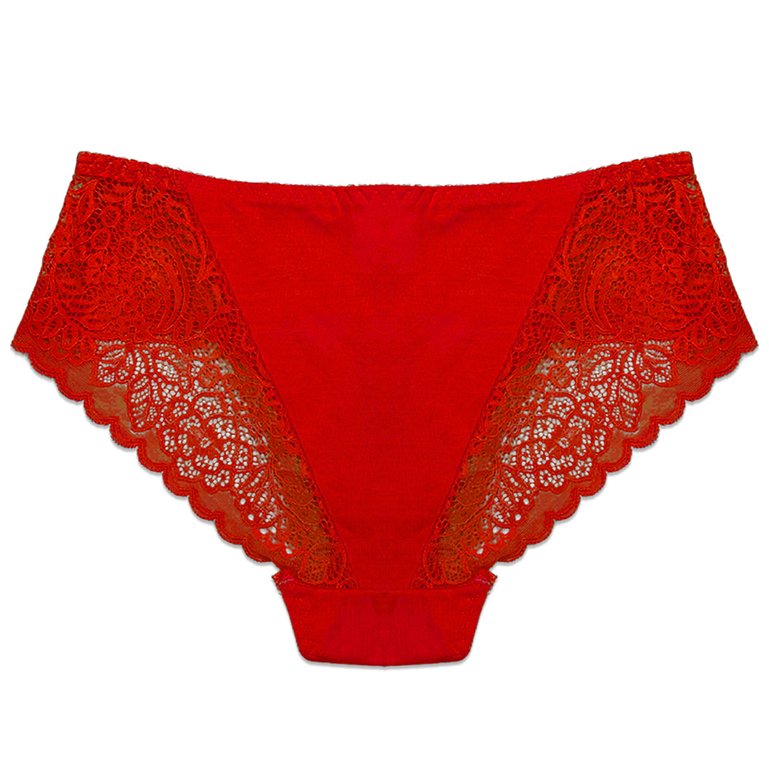 Buy Pack of 3 Briefs Panties - Lace Desire in Pakistan