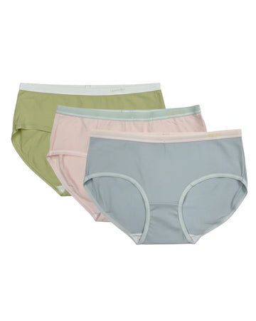 Buy Sajiero Pack of 3 Panty - Everyday Ease in Pakistan