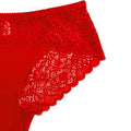 Buy Pack of 3 Briefs Panties - Lace Desire in Pakistan