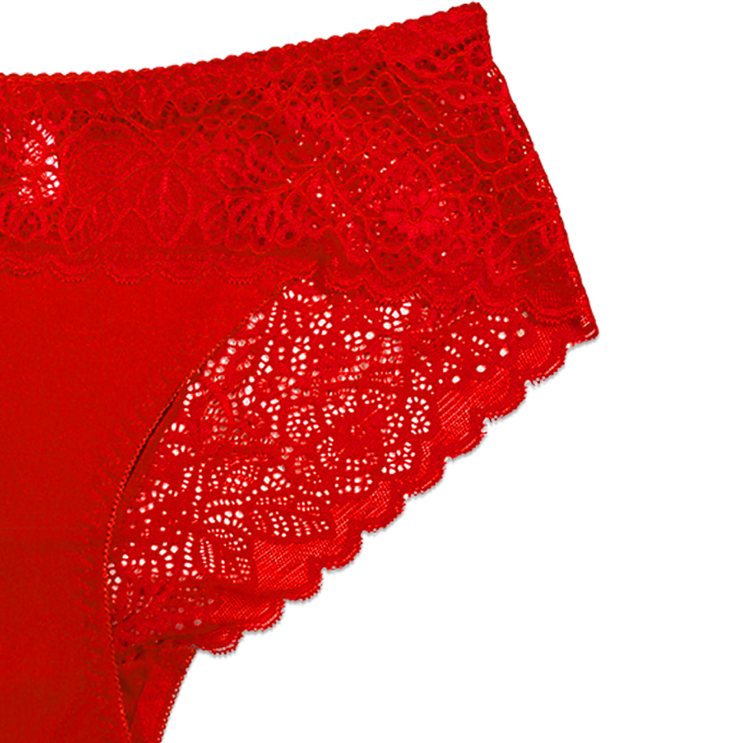 Buy Pack of 3 Briefs Panties - Lace Desire in Pakistan
