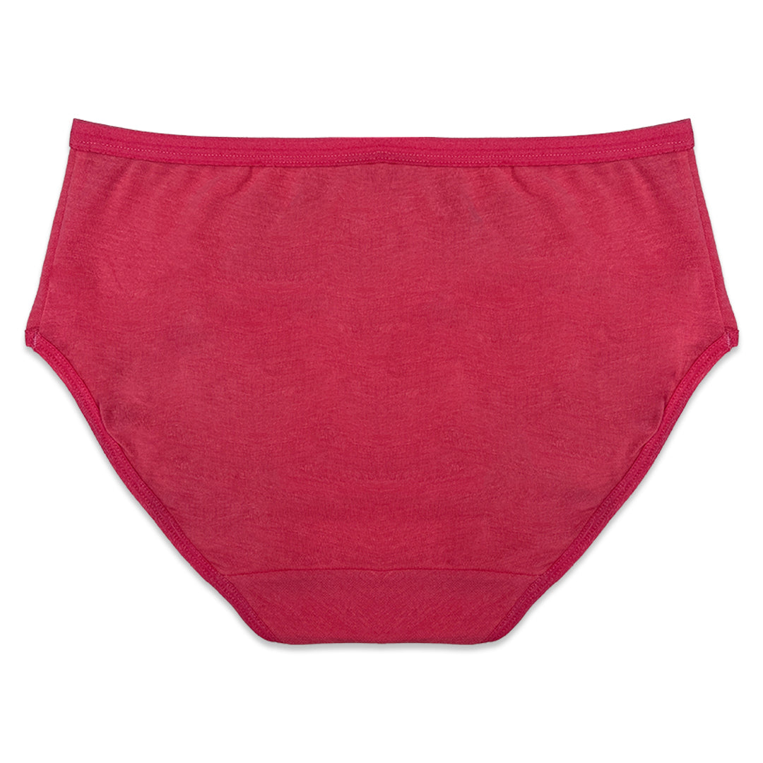 Buy Sajiero Pack of 5 Briefs Panties - Cotton Vibe in Pakistan