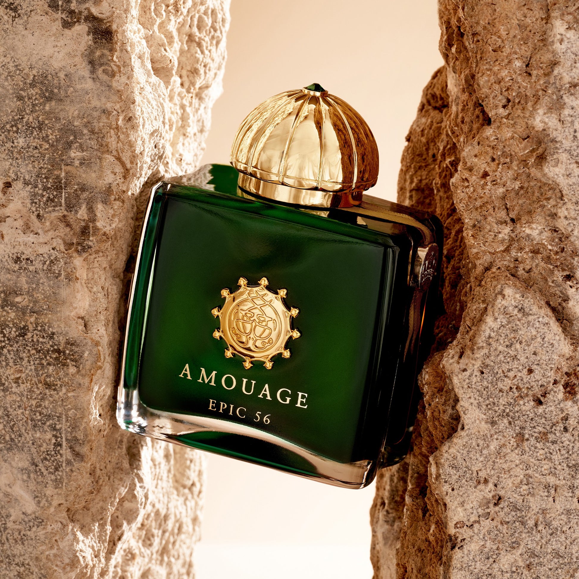 Buy Amouage Epic 56 EDP for Women - 100ml in Pakistan