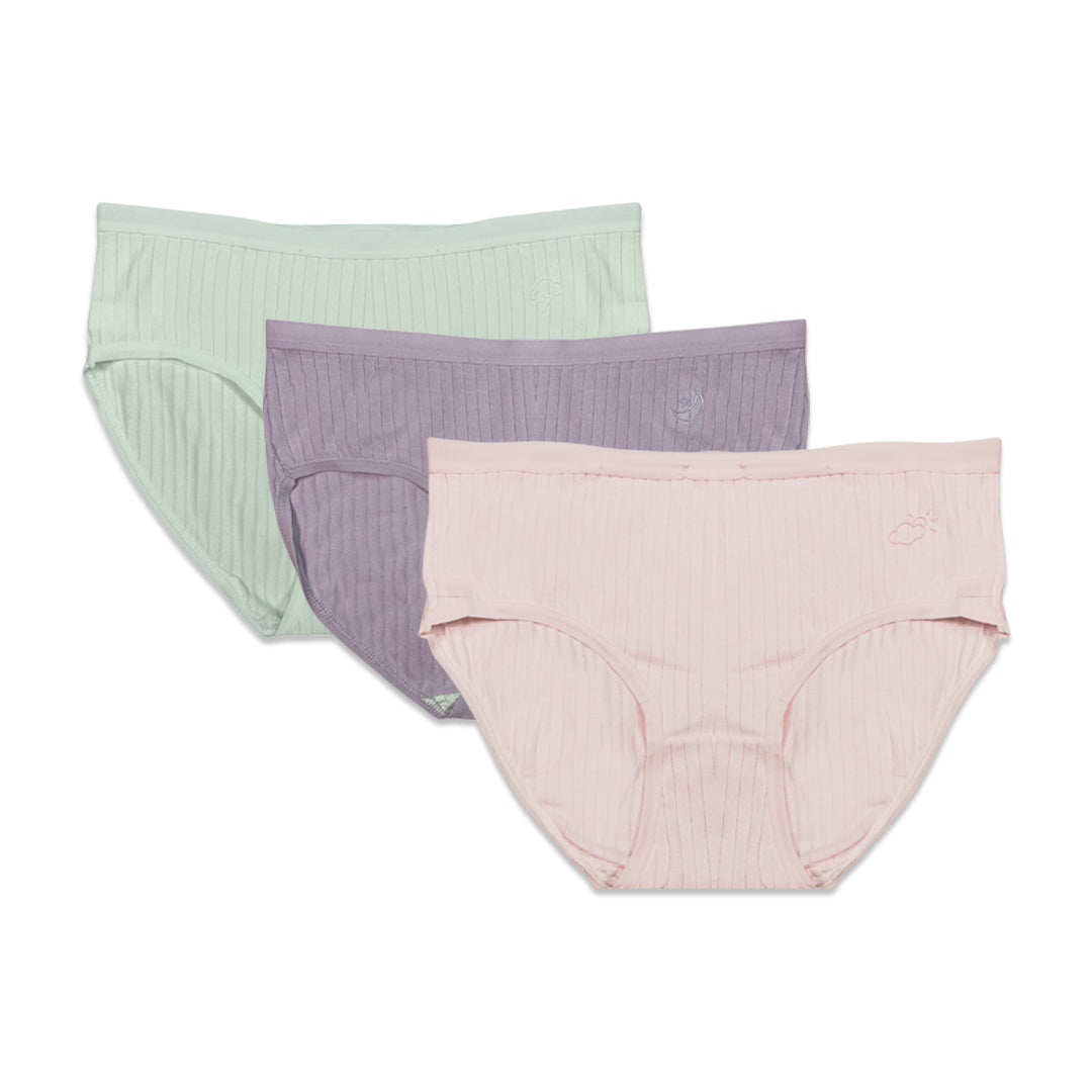 Buy Pack of 3 Briefs Panties - Ribbed Cotton in Pakistan