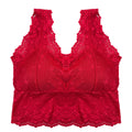 Buy Pack of 3 Bra - Lace Blush in Pakistan