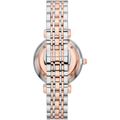 Buy Emporio Armani Women's Quartz Two-tone Stainless Steel Silver Dial 32mm Watch AR11537 in Pakistan