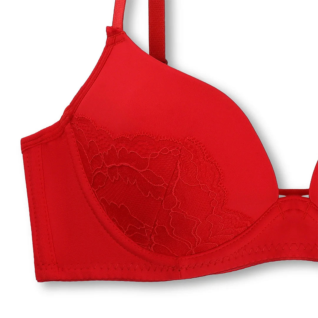 Buy Charming Red Embroidered Padded Bra and Panty Set in Pakistan