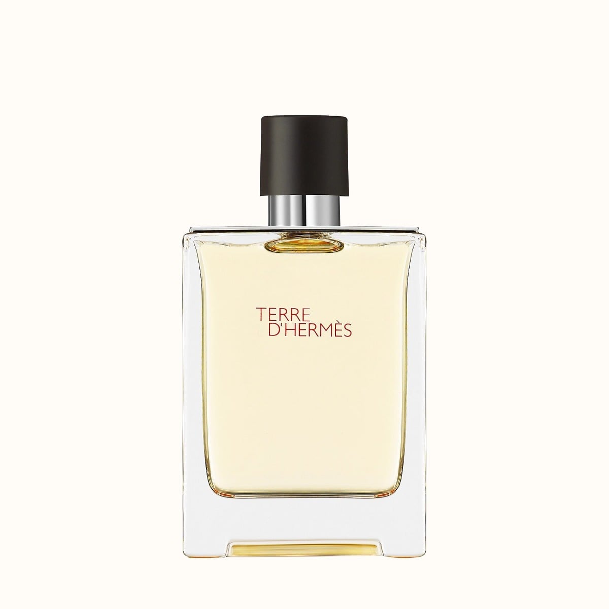Buy Hermes Terre D' Hermes EDT Perfume For Men 100Ml in Pakistan