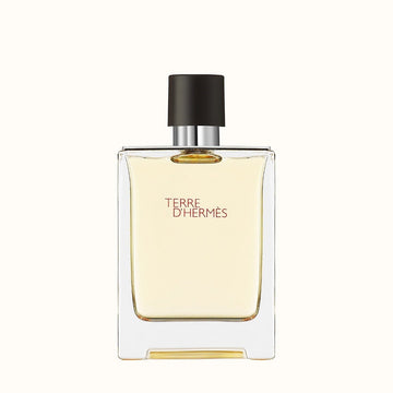 Buy Hermes Terre D' Hermes EDT Perfume For Men 100Ml in Pakistan