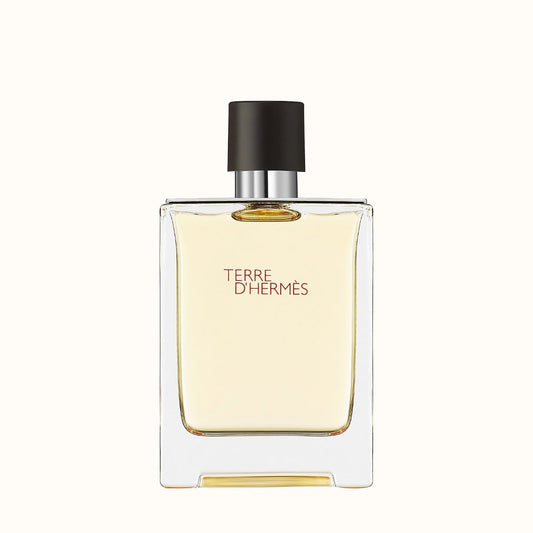 Buy Hermes Terre D' Hermes EDT Perfume For Men 100Ml in Pakistan