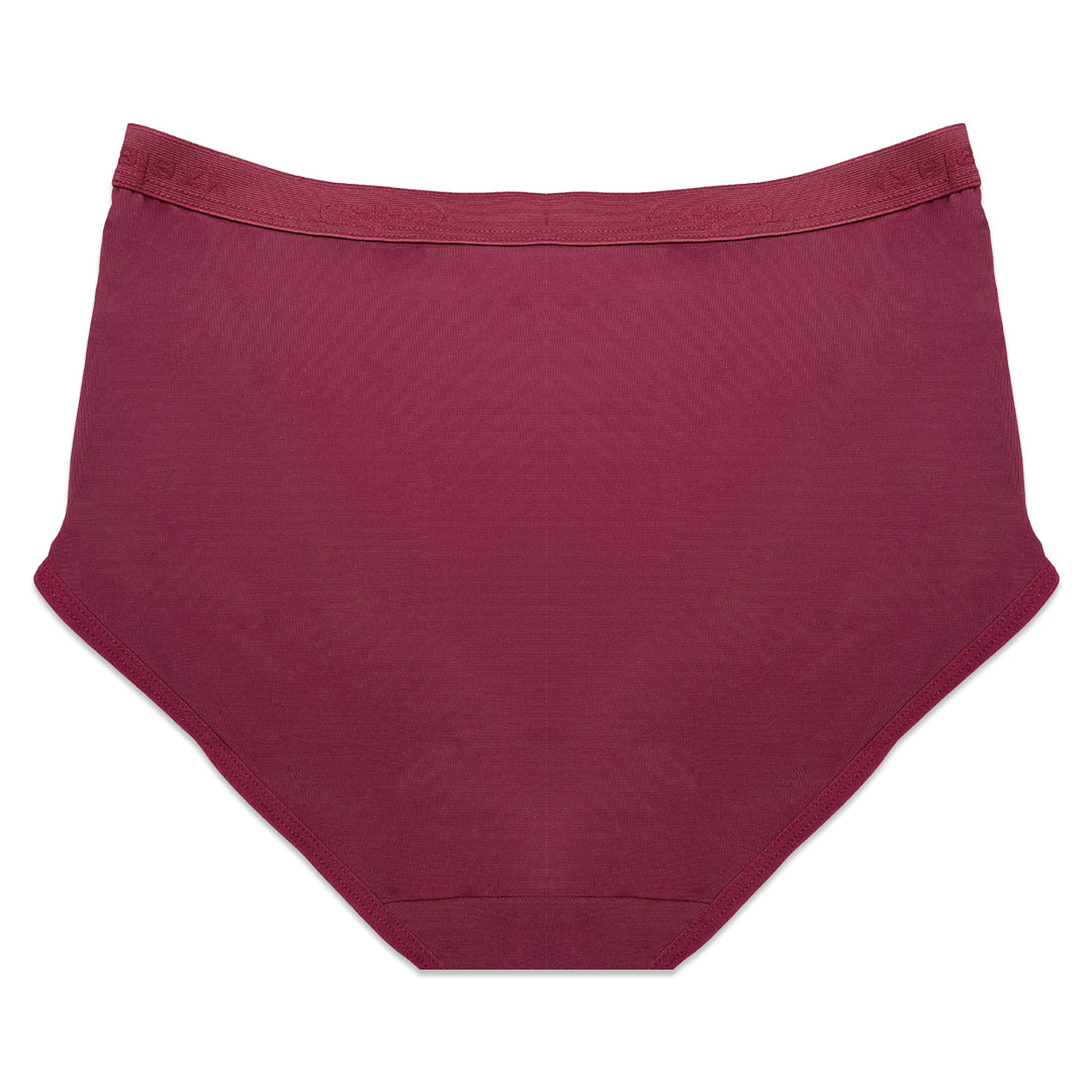 Buy Sajiero Pack of 3 Briefs Panties - Comfort Cotton in Pakistan