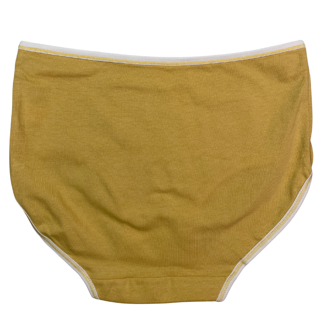 Buy Pack of 3 Briefs Panties - Classic Cotton in Pakistan