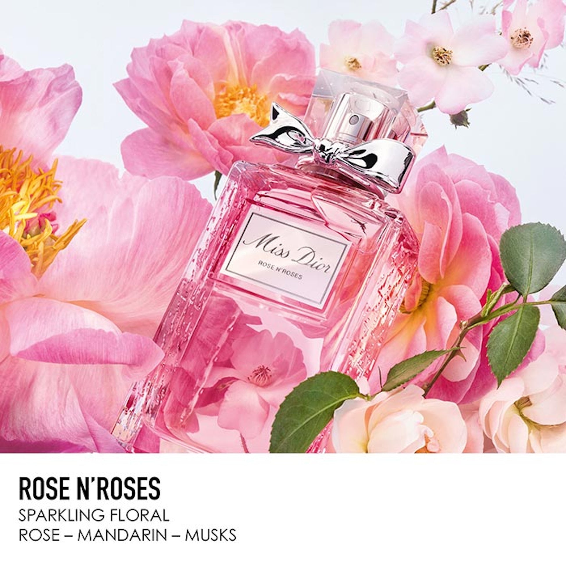 Buy Christian Dior Miss Rose N Roses EDT for Women - 100ml in Pakistan