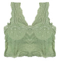 Buy Pack of 3 Bra - Lace Blush in Pakistan