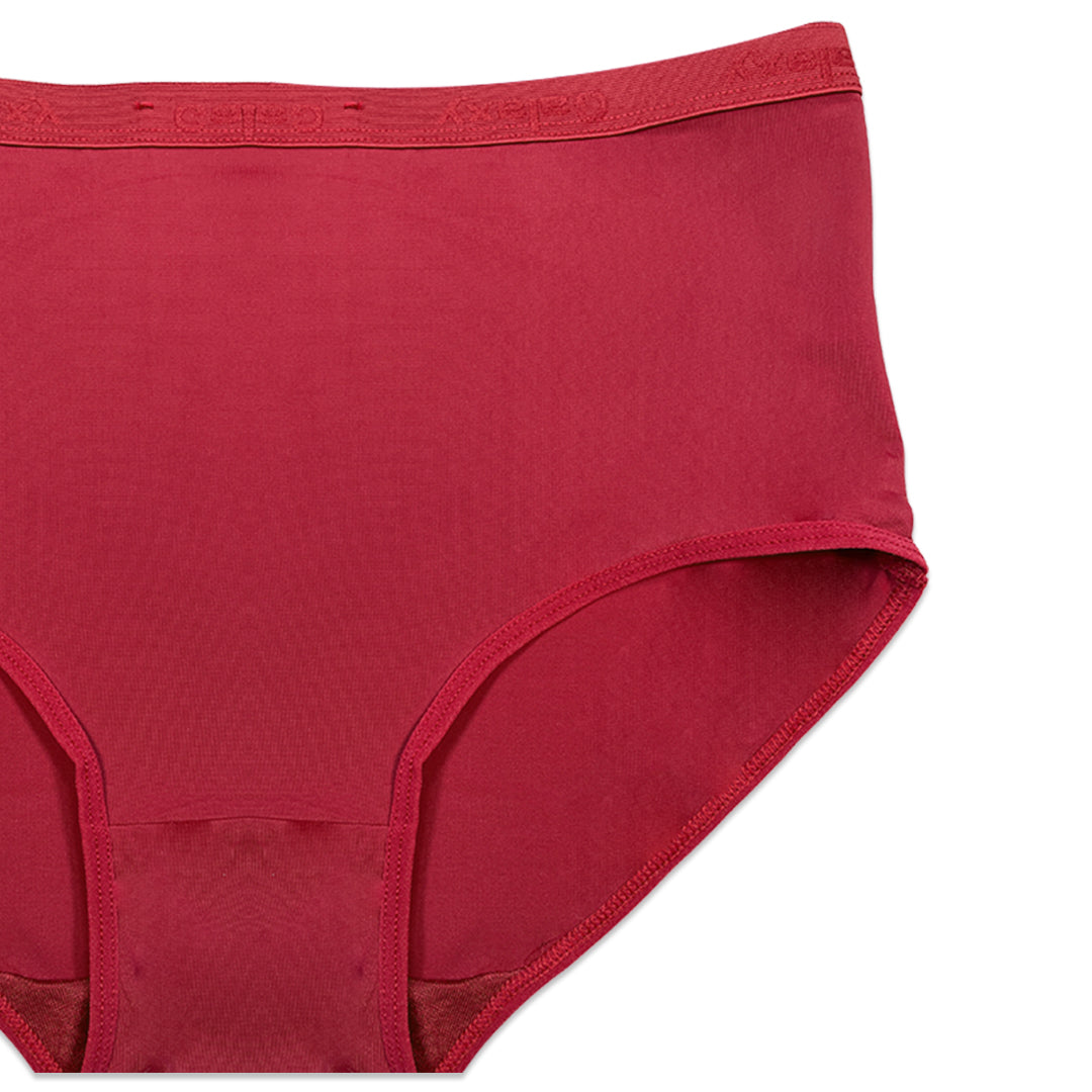 Buy Sajiero Pack of 3 Briefs Panties - Comfort Cotton in Pakistan