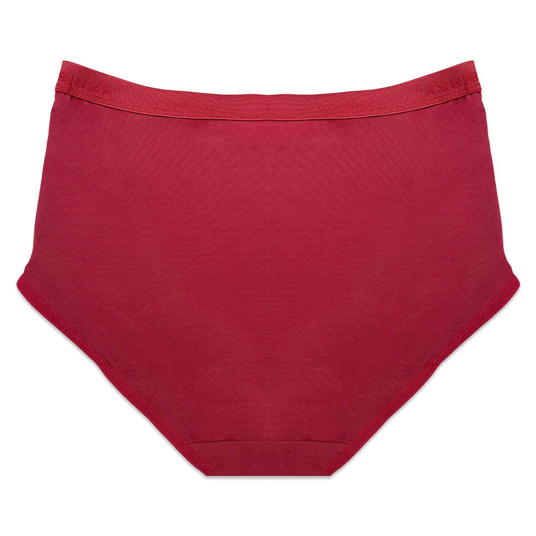 Buy Sajiero Pack of 3 Briefs Panties - Comfort Cotton in Pakistan