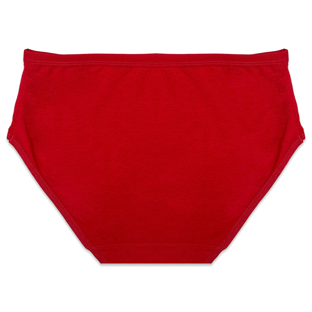 Buy Sajiero Pack of 5 Briefs Panties - Cotton Vibe in Pakistan