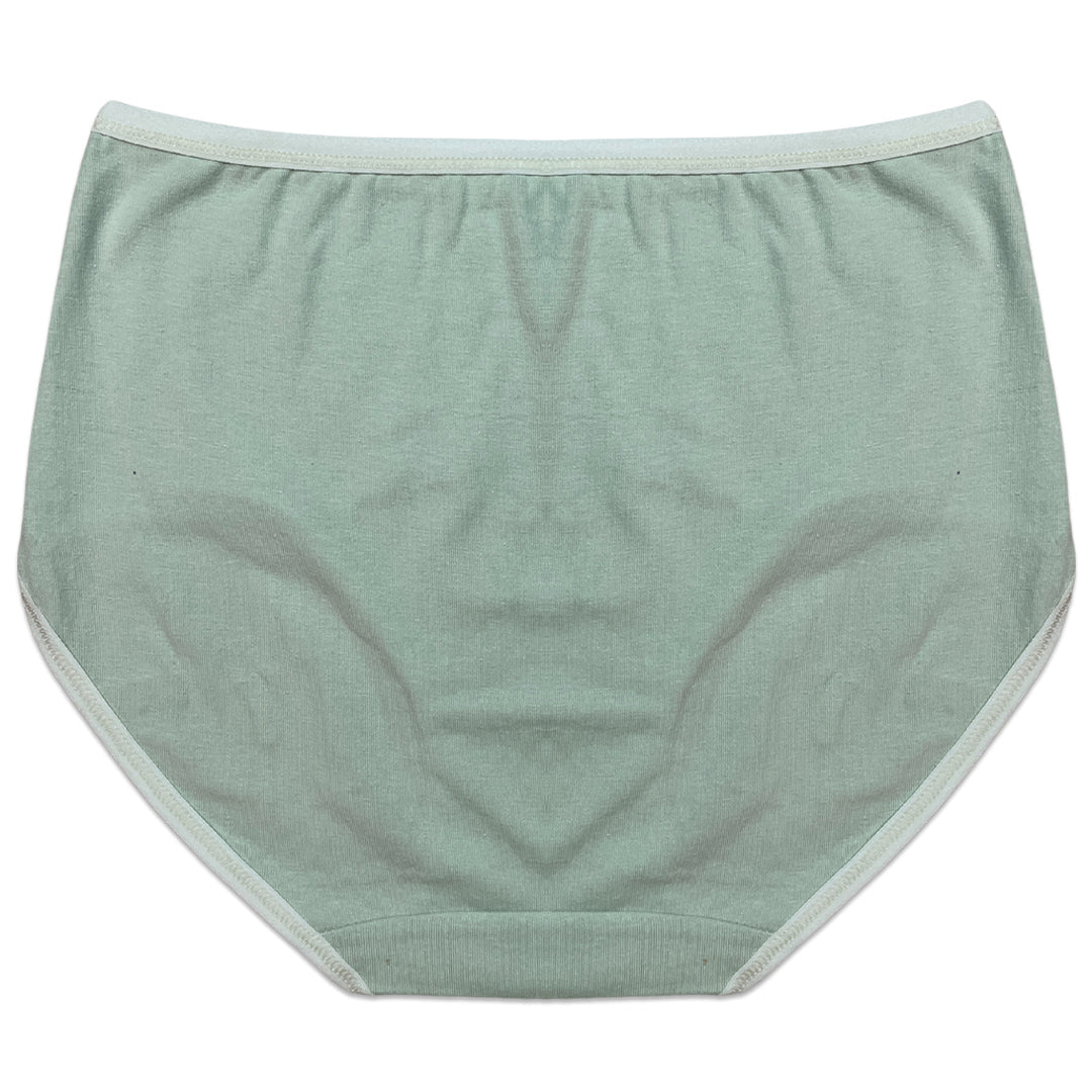 Buy Sajiero Pack of 3 Briefs Panties - Classic Cotton in Pakistan
