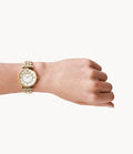 Buy Emporio Armani Classic Mother of Pearl Dial Gold Steel Strap Watch for Women - AR1907 in Pakistan