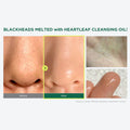 Buy Anua Heartleaf Pore Control Cleansing Oil in Pakistan
