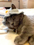 Buy SHEIN Crochet Pet Blue Sunflower Hat in Pakistan
