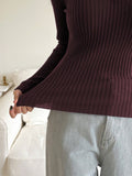 Buy SHEIN DAZY Fall/Winter Solid Color Casual Business Style Turtleneck Fitted Sweater,Long Sleeve Tops in Pakistan