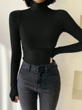 Buy SHEIN DAZY Women Solid Color Long Sleeve Turtleneck Stretchy Fleece T-Shirt, Autumn/Winter in Pakistan