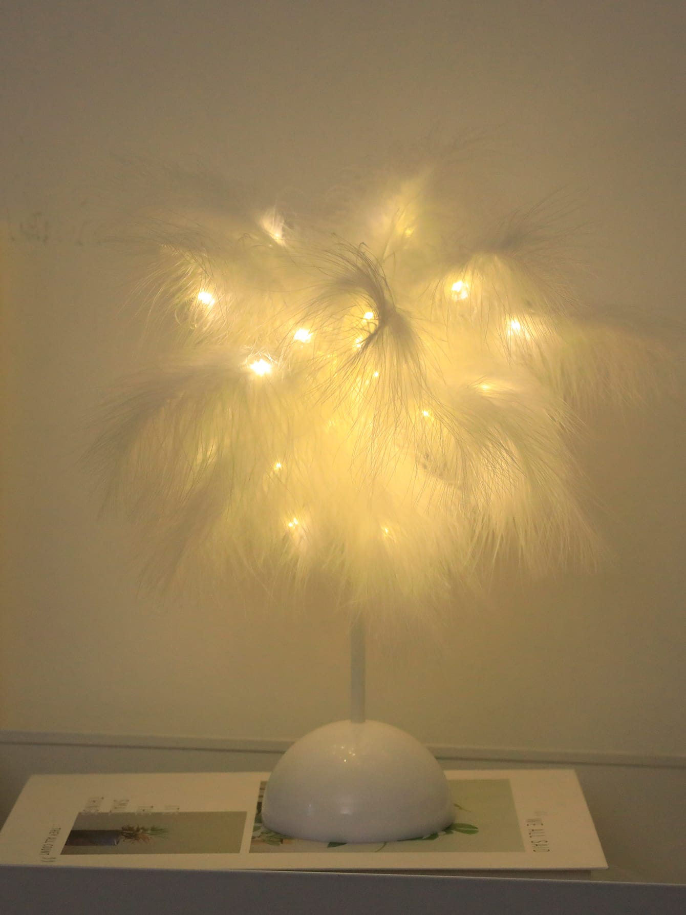 Buy SHEIN Feather Decor Table Lamp in Pakistan