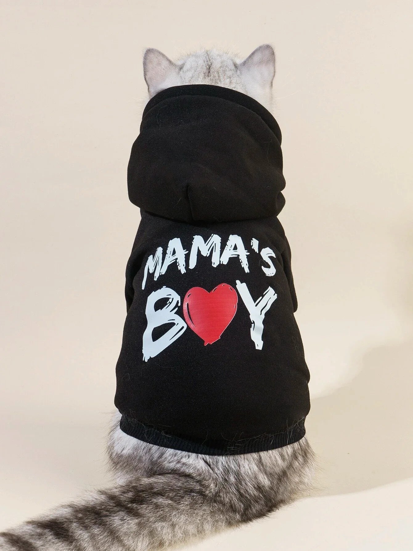 Buy SHEIN PETSIN 1pc Letter Graphic Pet Hoodie in Pakistan