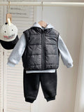 Buy SHEIN 3pcs/Set Baby Boys Casual Winter Thickened Velvet Lined Black Vest With Hood in Pakistan