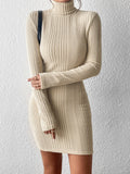 Buy SHEIN Essnce Turtleneck Ribbed Knit Bodycon Dress in Pakistan
