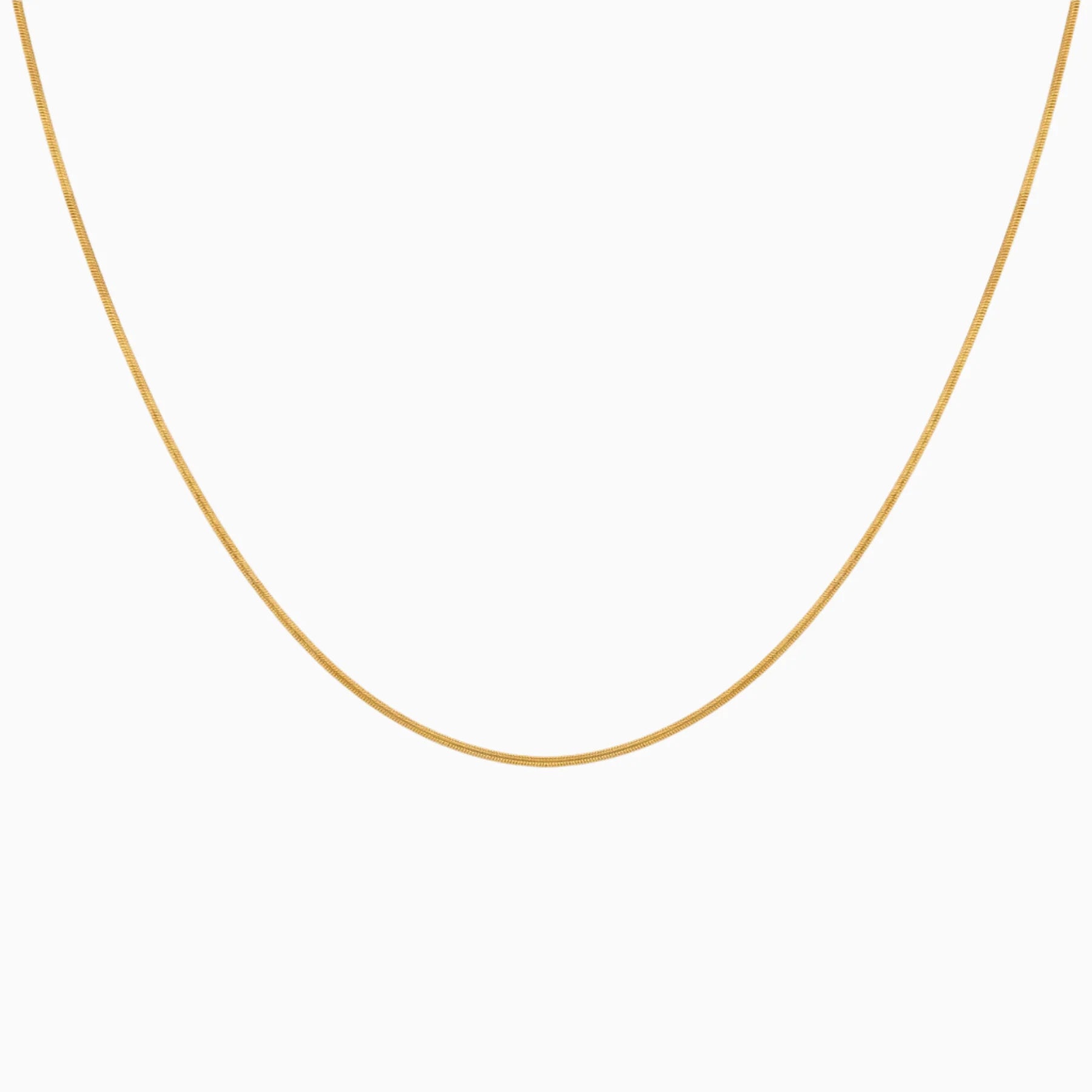 Buy Snake Chain 20" in Pakistan