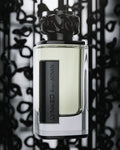 Buy Afnan Lynked Freedom Pour Homme EDP 100ML in Pakistan