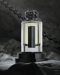Buy Afnan Lynked Freedom Pour Homme EDP 100ML in Pakistan
