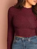 Buy Shein Lettuce Trim Solid Crop Tee in Pakistan