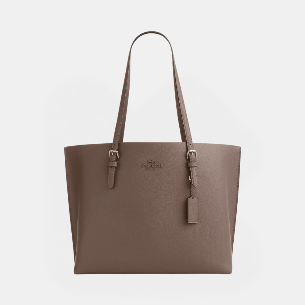 Buy Coach Mollie Tote Bag in Pakistan