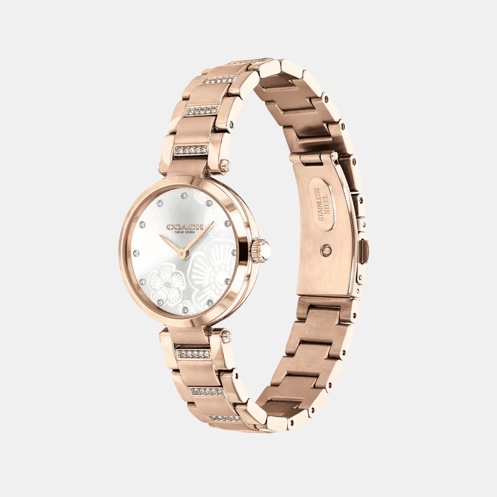 Buy Coach Park Watch 14503626 in Pakistan