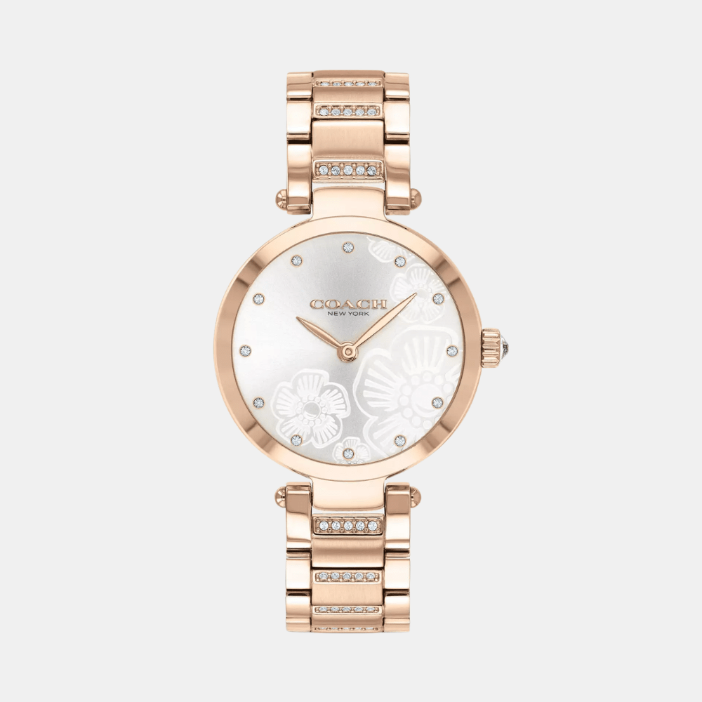 Buy Coach Park Watch 14503626 in Pakistan