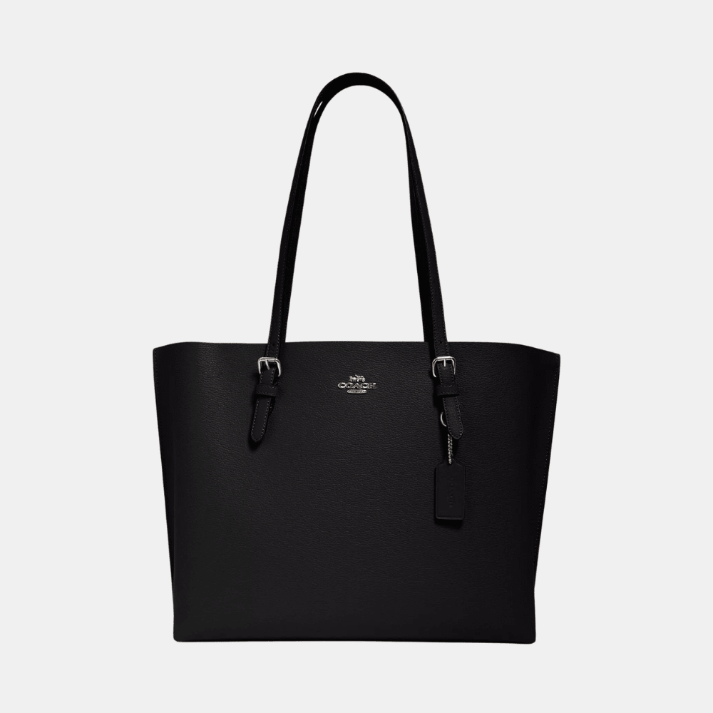 Buy Coach Mollie Tote Bag in Pakistan